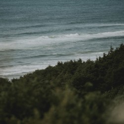 Somewhere in Oregon